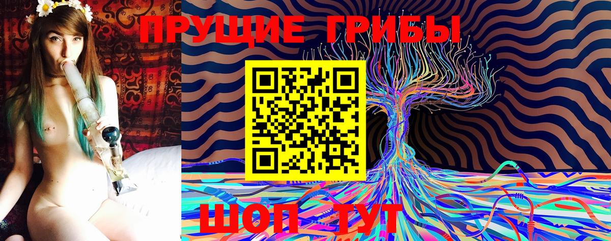 как найти наркотики  Галлюциногенные грибы мухоморы  Вход с VPN  Минусинск 